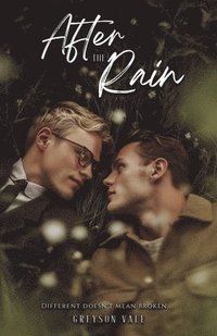 bokomslag After the Rain: An MM Romance