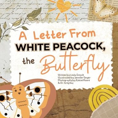 bokomslag A Letter from White Peacock the Butterfly