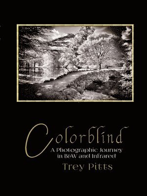 bokomslag Colorblind: A Photographic Journey in B&W and Infrared: : A Photographic Journey in B&W and Infrared