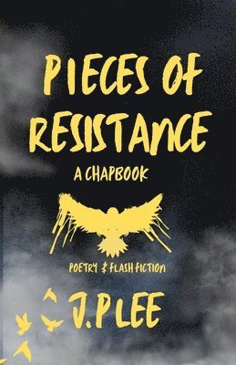 bokomslag Pieces Of Resistance