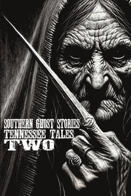 bokomslag Southern Ghost Stories: Tennessee Tales Two