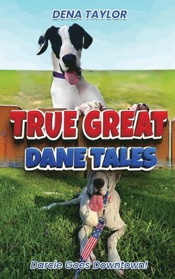 bokomslag True Great Dane tales