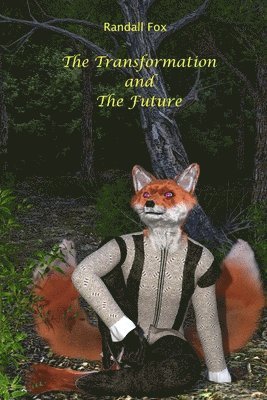 bokomslag The Transformation and The Future