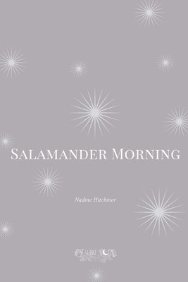 bokomslag Salamander Morning