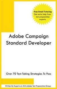 bokomslag Adobe Campaign Standard Developer