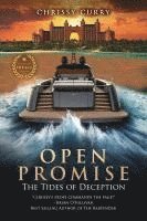 bokomslag Open Promise