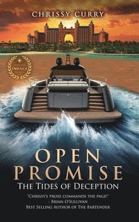 bokomslag Open Promise