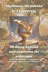 bokomslag Mylimas, Isrinktas ir Visavertis - 30 dien? kelione nuo atmetimo iki atk?rimo