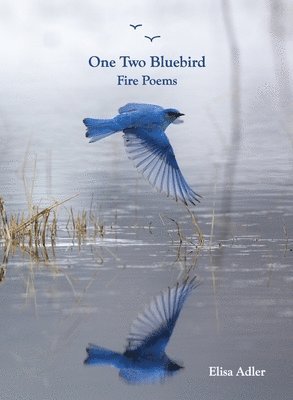 One Two Bluebird