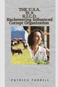 bokomslag The U.S.A. Is a R.I.C.O.: Racketeering Influenced Corrupt Organization
