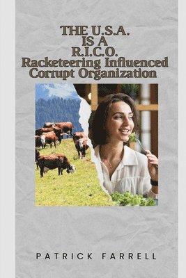 bokomslag The U.S.A. Is a R.I.C.O.: Racketeering Influenced Corrupt Organization