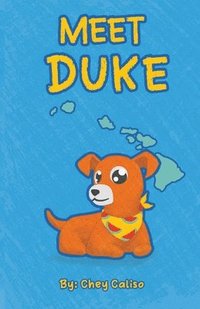 bokomslag Meet Duke