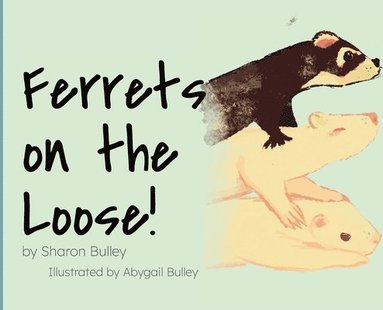 bokomslag Ferrets on the Loose!