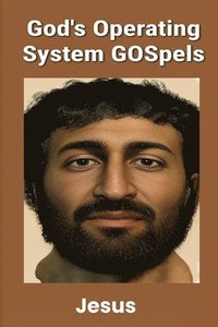 bokomslag God's Operating System GOSpels