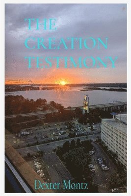 bokomslag The Creation Testimony