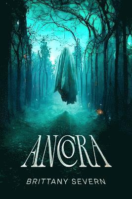 bokomslag Ancora