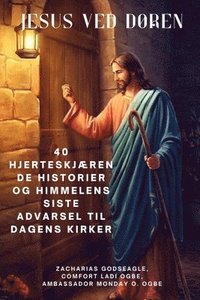 bokomslag JESUS VED DØREN 40 hjerteskjærende historier og himmelens siste advarsel til dagens kirker