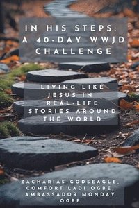 bokomslag In His Steps - A 40-Day WWJD Challenge - Living Like Jesus in Real-Life Stories Around the World