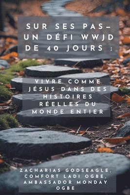 bokomslag Sur ses pas - Un défi WWJD de 40 jours - Vivre comme Jésus dans des histoires réelles du monde entier