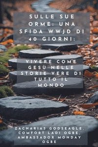bokomslag Sulle sue orme - una sfida WWJD di 40 giorni - Vivere come Gesù nelle storie vere di tutto il mondo