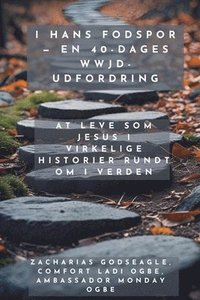 bokomslag I hans fodspor - En 40-dages WWJD-udfordring - At leve som Jesus i virkelige historier rundt om i verden