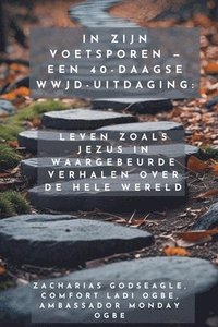 bokomslag In Zijn Voetsporen - Een 40-daagse WWJD-uitdaging - Leven zoals Jezus in waargebeurde verhalen over de hele wereld