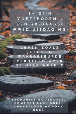 bokomslag In Zijn Voetsporen - Een 40-daagse WWJD-uitdaging - Leven zoals Jezus in waargebeurde verhalen over de hele wereld