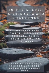 bokomslag Ina Chéimeanna - Dúshlán 40 Lá WWJD - Ag Maireachtáil Cosúil le Íosa i Scéalta Saoil Fíor ar Fud an Domhain