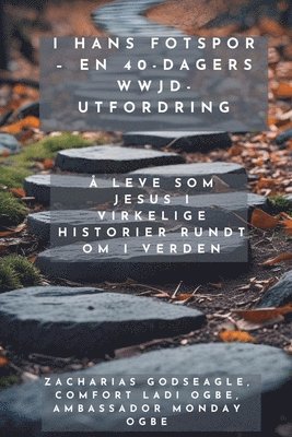 bokomslag I hans fotspor - en 40-dagers WWJD-utfordring - Å leve som Jesus i virkelige historier rundt om i verden