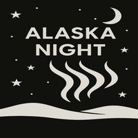 bokomslag Alaska Night