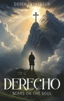 bokomslag Derecho: Scars On The Soul