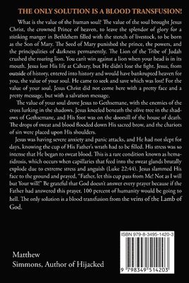 bokomslag Simmons, M: Revelation of Jesus Christ