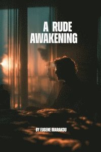 bokomslag Rude Awakening