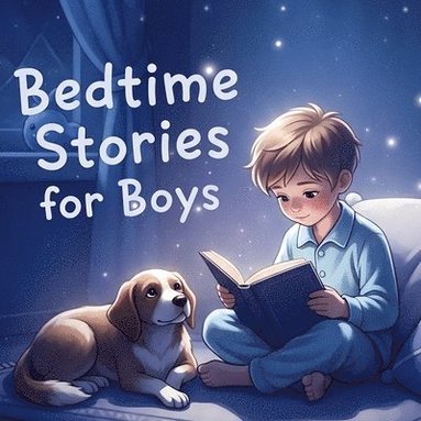bokomslag Bedtime Stories for Boys