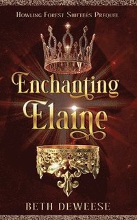 bokomslag Enchanting Elaine