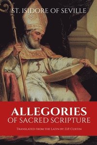bokomslag Allegories of Sacred Scripture