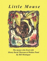 bokomslag Little Mouse