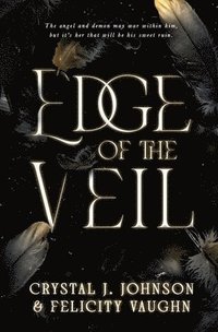 bokomslag Edge of the Veil