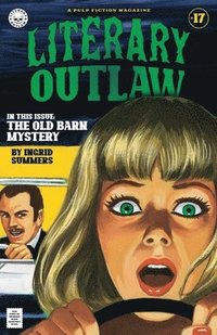 bokomslag Literary Outlaw #17