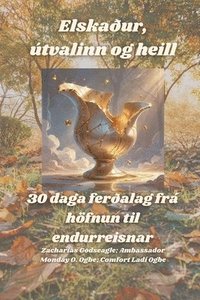 bokomslag Elska¿ur, útvalinn og heill - 30 daga fer¿alag frá höfnun til endurreisnar