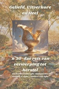 bokomslag Geliefd, Uitverkore en Heel - 'n 30-dae reis van verwerping tot herstel