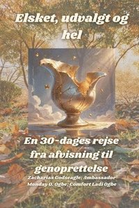 bokomslag Elsket, udvalgt og hel - En 30-dages rejse fra afvisning til genoprettelse