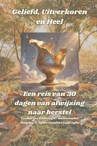 bokomslag Geliefd, Uitverkoren en Heel - Een reis van 30 dagen van afwijzing naar herstel