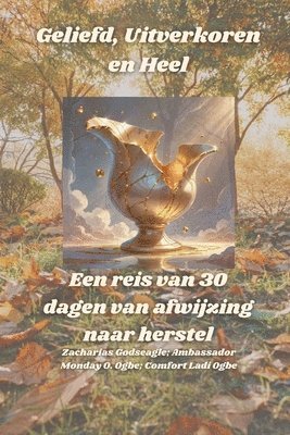 bokomslag Geliefd, Uitverkoren en Heel - Een reis van 30 dagen van afwijzing naar herstel