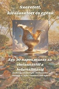 bokomslag Szeretett, kiválasztott és egész - Egy 30 napos utazás az elutasítástól a helyreállításig
