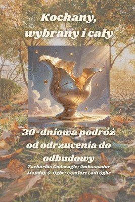 bokomslag Kochany, wybrany i caly - 30-dniowa podró? od odrzucenia do odbudowy