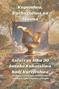 bokomslag Kupendwa, Kuchaguliwa na Mzima - Safari ya Siku 30 kutoka Kukataliwa hadi Kurejeshwa: Safari ya Siku 30 kutoka Kukataliwa hadi Kurejeshwa