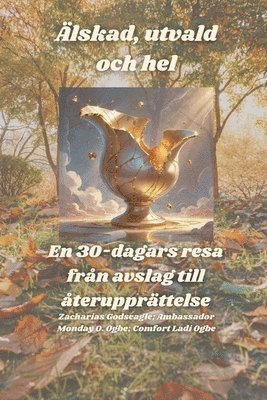 Zacharias Godseagle, Comfort Ladi Ogbe, Ambassador Monday O Ogbe, Ambassador Monday O. Ogbe - Älskad, utvald och hel - En 30-dagars resa från avslag till återupprättelse, Häftad