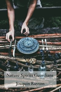 bokomslag Nature Spirits Guardians