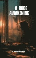 bokomslag A Rude Awakening
